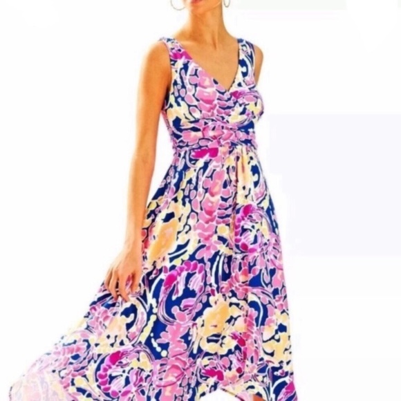 Lilly Pulitzer Dresses & Skirts - NWT Lilly Pulitzer Sloane Midi Pink Blue Dress S